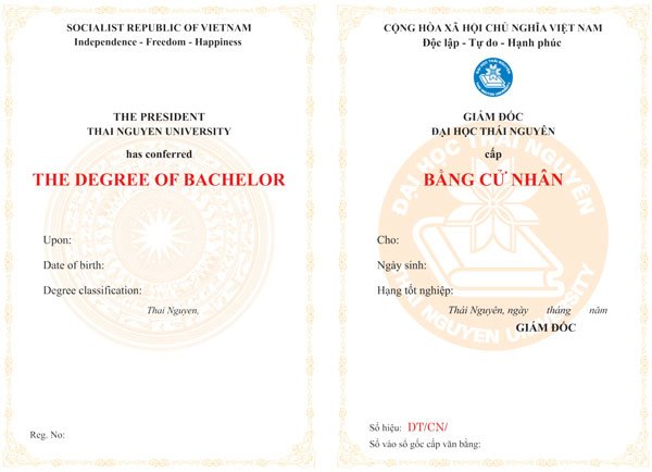 Học đại học online